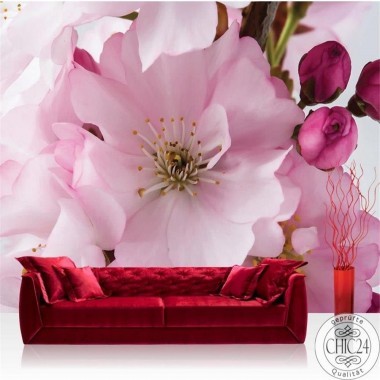 Blumen Pflanzen