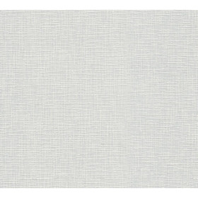 Meistervlies 2020 574619