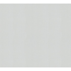 Meistervlies 2020 251312