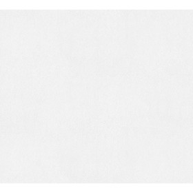 Meistervlies 2020 929310