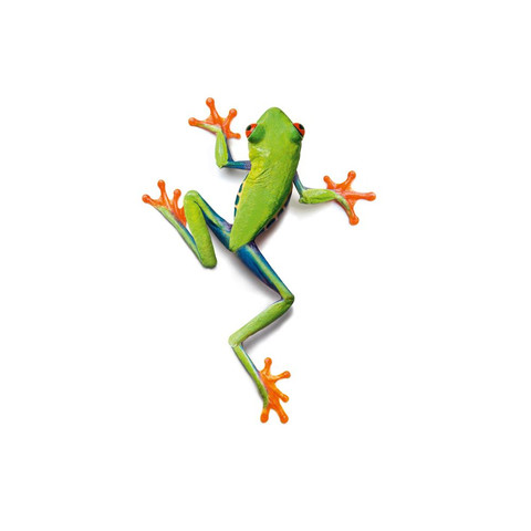 AP Digital-Frog