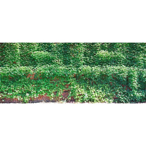 AP Digital-Wall of Leaves