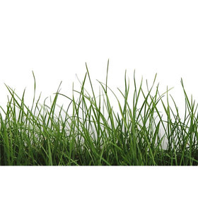AP Digital-Green Grass Detail
