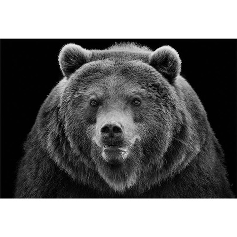 AP Digital-Angry Bear