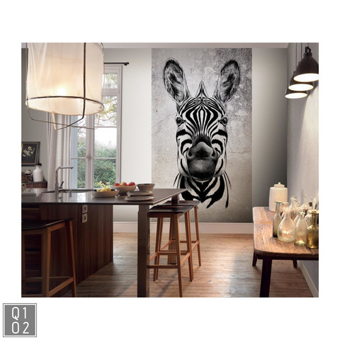 Fototapete Cool Zebra 2516N-81