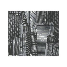 Day & Night glow in the dark 252845