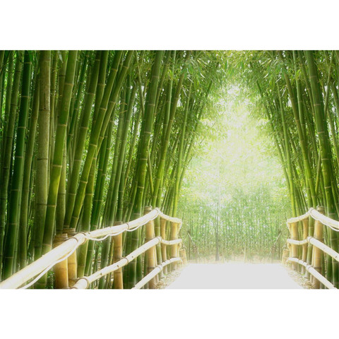 Fototapete Wand Bild Vliestapete Bambusweg Bambuswald Dschungel Asien - no. 002