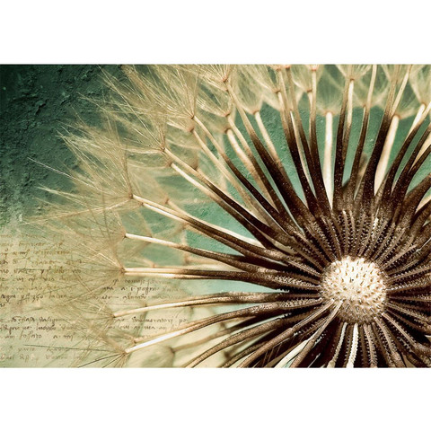 Vlies Fototapete no. 26 | Romantic Dandelion Blumen...