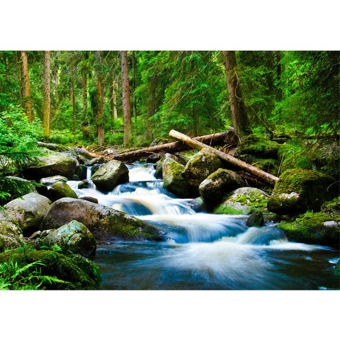 Fototapete Wald Wasserfall Natur Baum gr�n� no. 31