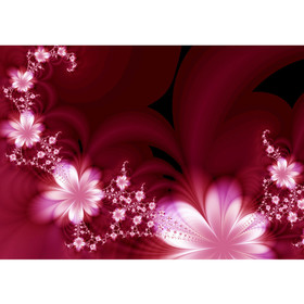 Fototapete Ornamente Blumen Orchidee Rot Blumenranke no. 40