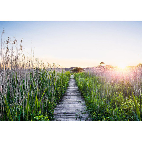 Fototapete Sonnenaufgang Meer Strand Dnen Rosa Pastell Pink no. 80