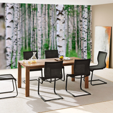 Fototapete Birkenwald 3D perspektive Birke St�mme Wald