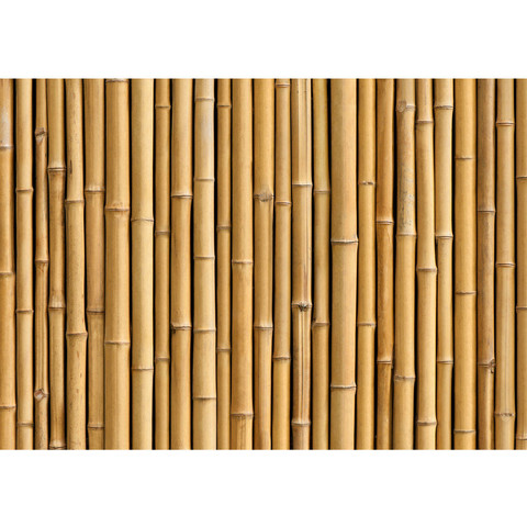 Vlies Fototapete no. 83 | Golden Bamboo Bambus Tapete...