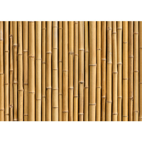 Vlies Fototapete no. 83 | Golden Bamboo Bambus Tapete gold gelb Wald Bambuswald Dschungel Garten Natur Bume beige