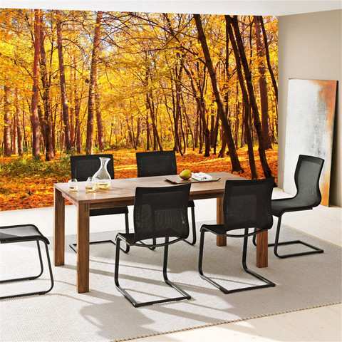 Fototapete Herbstbl�tter Wald B�ume Baum Forest Herbst� no. 84