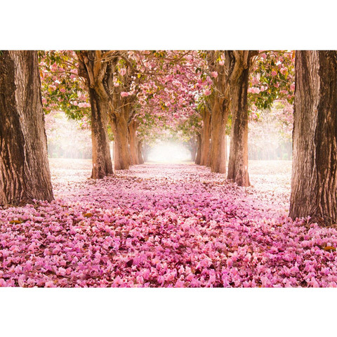 Vlies Fototapete no. 151 | Wald Tapete Herbstbltter Wald Bume Baum Forest Herbst rosa