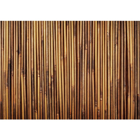 Vlies Fototapete no. 173 | Bambus Tapete gold gelb beige...