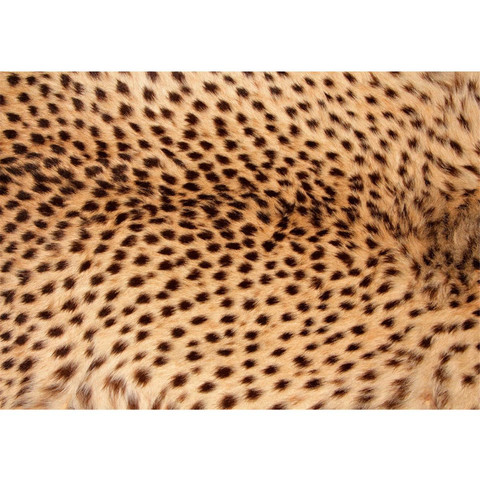 Fototapete Leopard Tier Braun Natur� no. 181