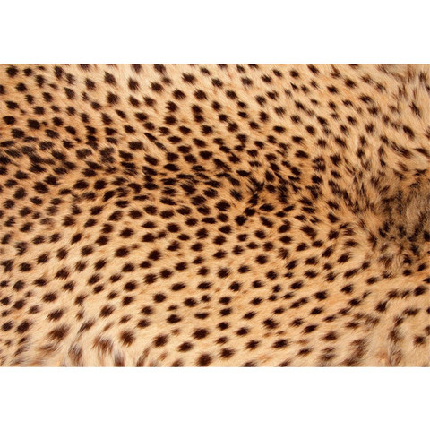 Vlies Fototapete no. 181 | Tiere Tapete Leopard Tier Braun Natur braun