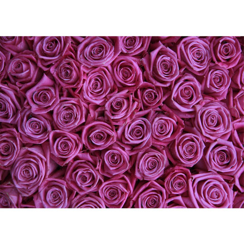 Vlies Fototapete no. 183 | Blumen Tapete Blumen Rose...