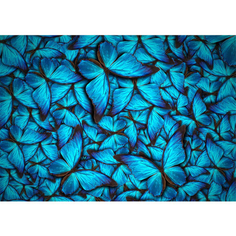 Vlies Fototapete no. 192 | Tiere Tapete Schmetterlinge Tiere Natur Blau blau