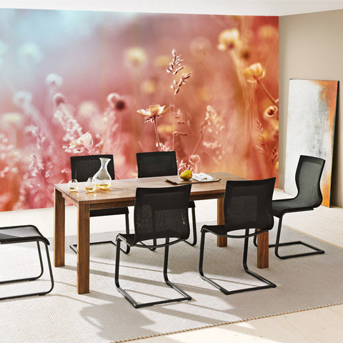 Fototapete Blumen Bl�ten Natur Rosa Wiese� no. 198