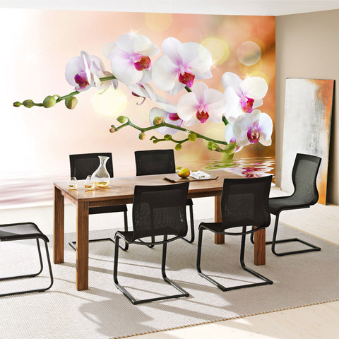Fototapete Orchidee Blumen Wei Pink Natur Pflanzen Abstrakt no. 200