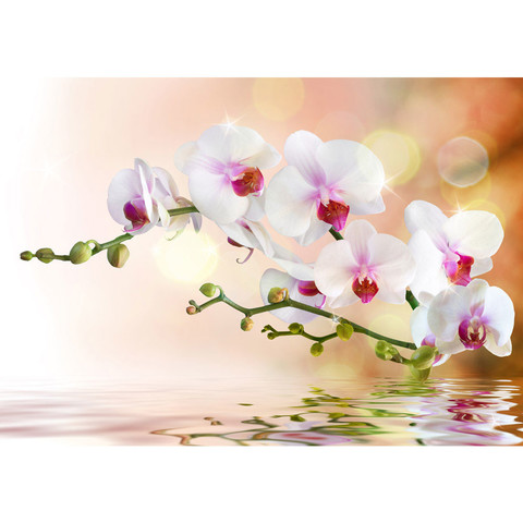 Vlies Fototapete no. 200 | Berge Tapete Orchidee Blumen Blumenranke Wei Pink Natur Pflanzen Abstrakt grau