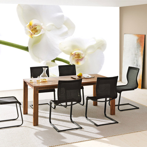 Fototapete Orchidee Blumen Blumenranke Wei� Natur Pflanzen Abstrakt no. 201