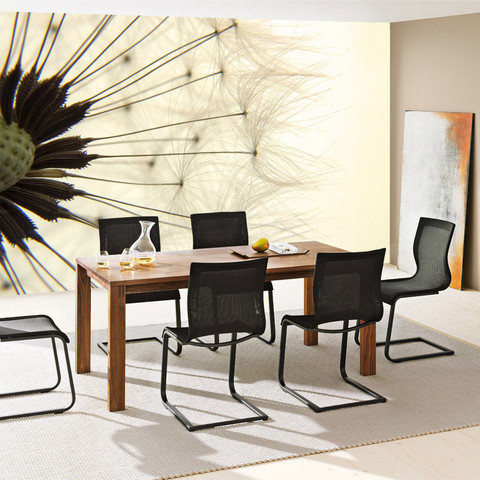 Fototapete Pusteblume Lwenzahn Natur Beige no. 204