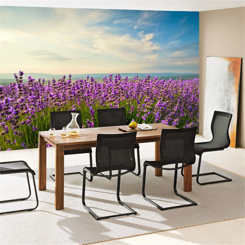 Fototapete Natur Feld Himmel Wolken Gr�n Idyll� no. 205