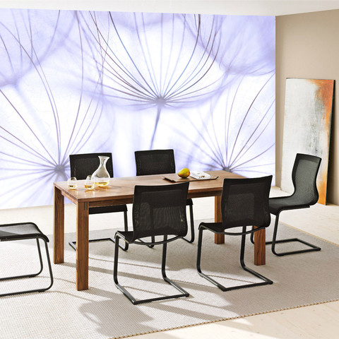 Fototapete Pusteblume L�wenzahn Wei� Natur� no. 207