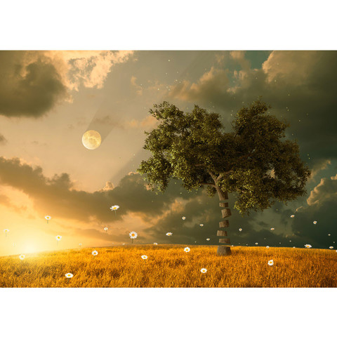 Fototapete Natur Feld Sonne Mond Baum no. 237