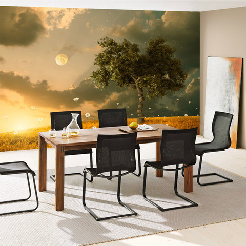 Fototapete Natur Feld Sonne Mond Baum� no. 237