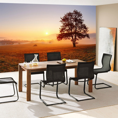 Fototapete Sonnenaufgang Baum Natur Feld� no. 238