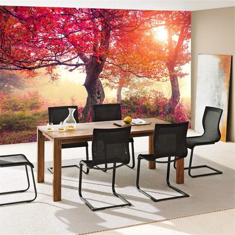 Fototapete Wald B�ume Natur Baum Sonne� no. 242