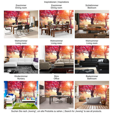 Fototapete Wald B�ume Natur Baum Sonne� no. 242