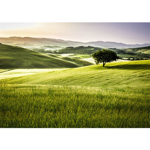 Vlies Fototapete no. 243 | Landschaft Tapete Feld Natur...
