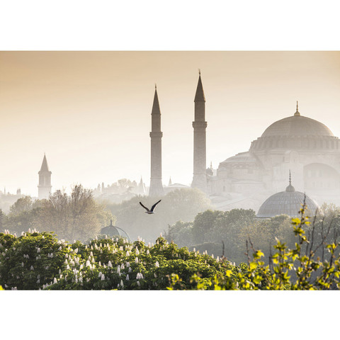 Vlies Fototapete no. 250 | Türkei Tapete Istanbul Türkei Moschee Natur Nebel braun