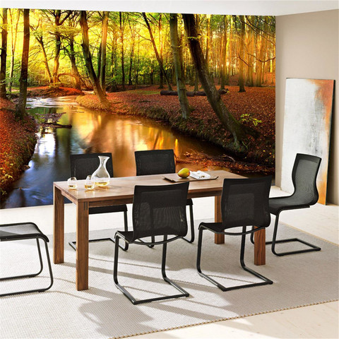 Fototapete Wald B�ume Natur Sonne Wasser� no. 252