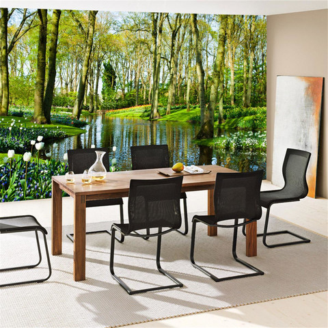 Fototapete Wald B�ume Natur Fr�hling Wasser Sonne� no. 256