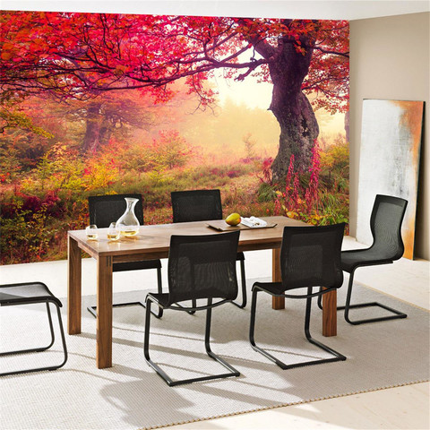 Fototapete Wald B�ume Herbst Natur Sonne� no. 258