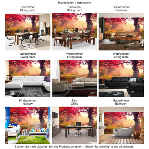 Fototapete Wald B�ume Herbst Natur Sonne� no. 258