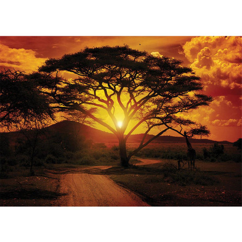 Fototapete Sonnenuntergang Baum Afrika Abenddmmerung Orange no. 284