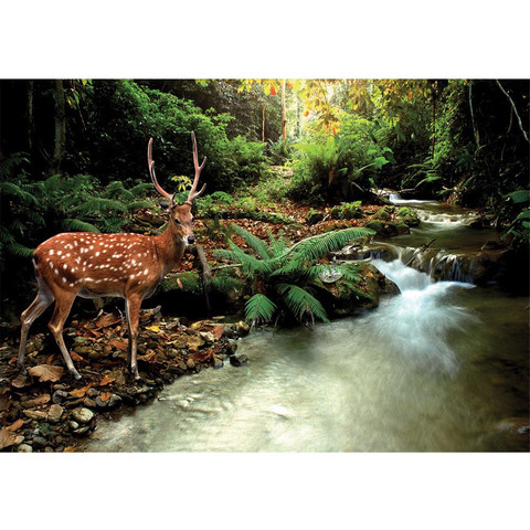 Fototapete Wald Hirsch Geweih Natur Bach gr�n braun� no. 399