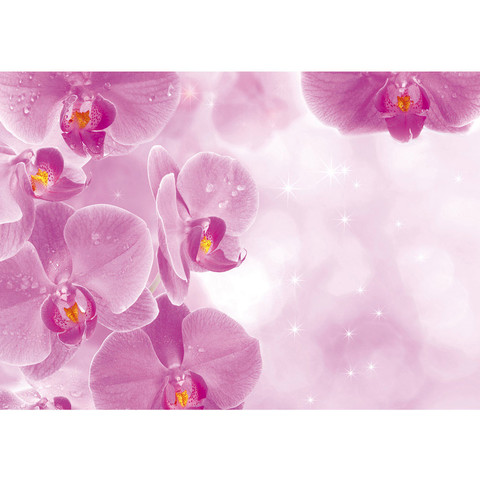 Fototapete Orchidee Tropfen Rosa Wellness lila no. 407
