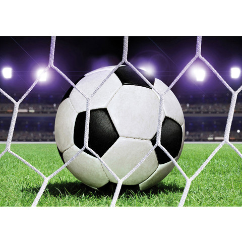 Vlies Fototapete no. 431 | Fu�ball Tapete Fu�ball Netz...