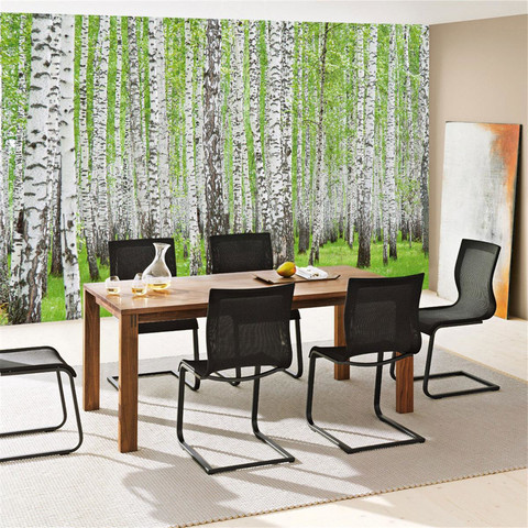 Fototapete Birke Wald B�ume Natur gr�n weiߠ no. 433