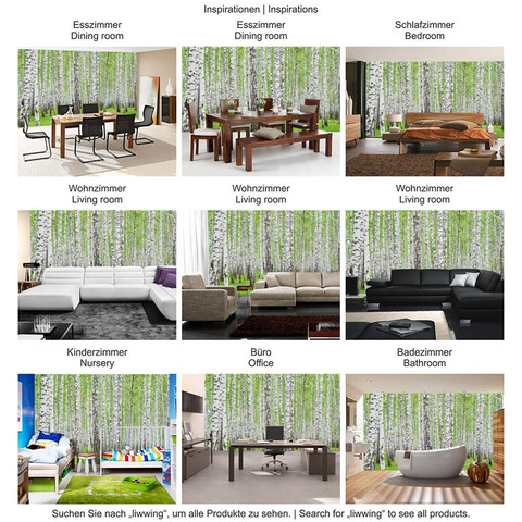 Fototapete Birke Wald B�ume Natur gr�n weiߠ no. 433