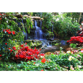 Fototapete Wasserfall Urwald Pflanzen Baum Natur� no. 448